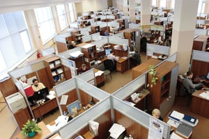 Office setting with lots of cubicles 