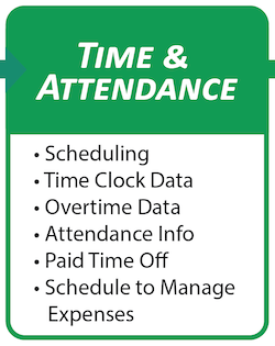 blog image - journey of paperless employee - time and attendance