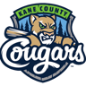 kanecountycougars_logo