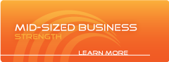 Mid-Sized Business 